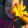 roroe_313