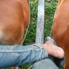awal07635