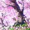 AniMe EdiT wiTh ARshiQ