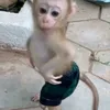 sinnkkass