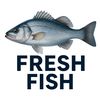 fresh fish