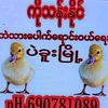 ko.than.naing4243