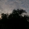 bbgcpr