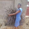 macule447