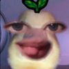 ddepiw4