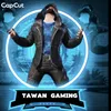 tawan.gaming