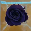 valentinamontrone07