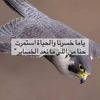 natheer.mafalani