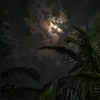 adamsgirl17