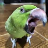 soso_456777