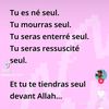 user3384526731220