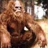 big.foot630