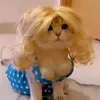 miskiiney80