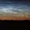 nasrenka8