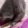 meli.milagros2