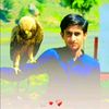 shahzaib.jarwar19