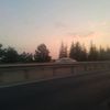 ziya._26
