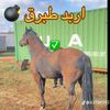 user8786118304908