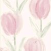 noor.alshahawi