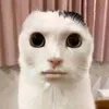 goatxz81