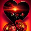 sanakhan1212345gmail.com