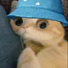 milo.1021