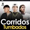 corridos205