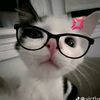 mrshaaa11