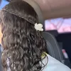 julia_.709