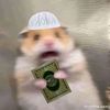 nazzz1179