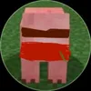 _bdp_13t6