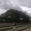 pan.myat83
