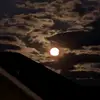fatima_sido