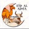al.aminrafly012