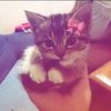 riris_0511
