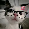 dona_don06
