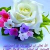 wwwsyedali949