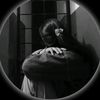 _________61366