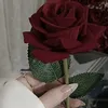 بنت شيوخ