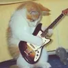 woyonizm