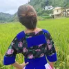 phng41525