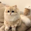 Centilfashion