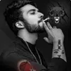 user86830455381450