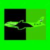 green_black_airlines_723