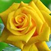 u.naing7987
