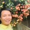 dreamfarmhd