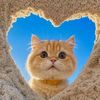 tufa_ni