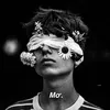 is.iamo