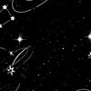 nisa_8668
