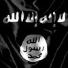 user1505819948778